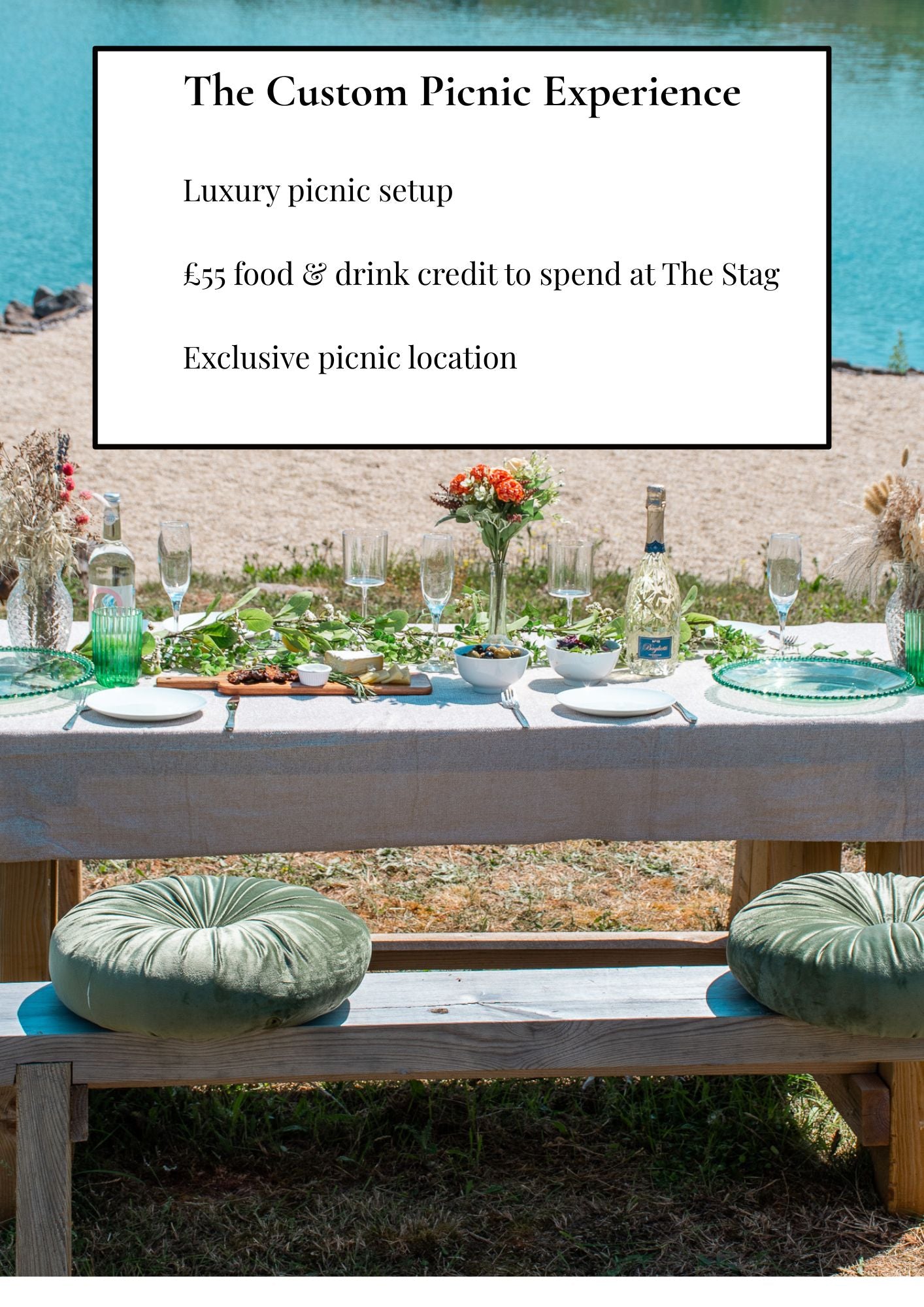 The Custom Picnic Experience
